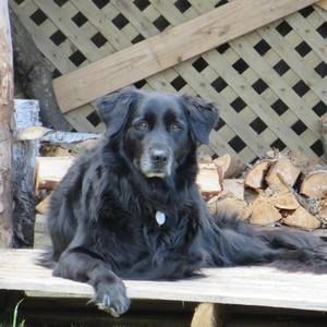 Meet your Posher, Brigitte